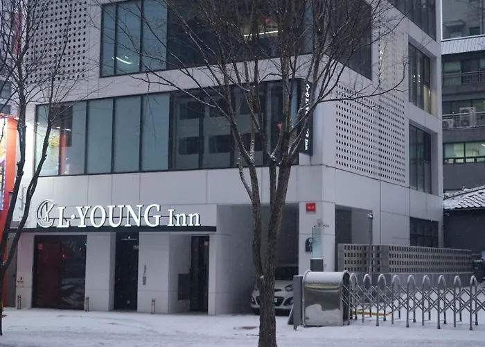 L Young Capsule Myeongdong *